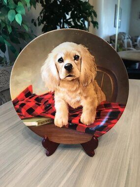 The Cocker Spaniel Collection Plate